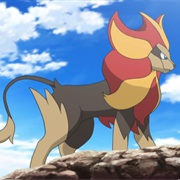 Pyroar (Male)