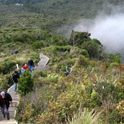 Pinnacles Hut and the Kauaeranga Kauri Trail