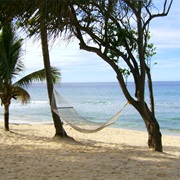 Sleep in a Hammock on the Beach