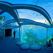 Palma Aquarium, Mallorca