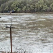 Umpqua State Scenic Corridor, Oregon
