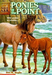 Ponies at the Point (Ben M Baglio)