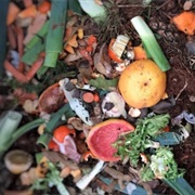 Compost