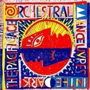 Orchestral Manoeuvres in the Dark the Pacific Age