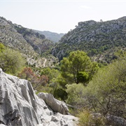 Serra De Tramuntana, Mallorca