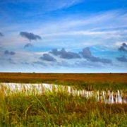 Mad Island Marsh Complex, Texas