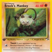 Brock's Mankey