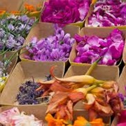 Plant Some Edible Flowers