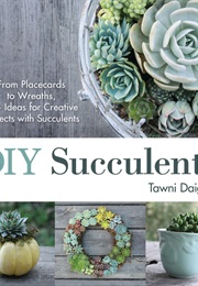 DIY Succulents (Tawni Daigle)