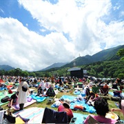 Attend Fuji Rock Festival