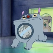 Nosox (Experiment 204)