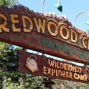 Redwood Creek Challenge Trail