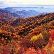 Great Smoky Mountains National Park (Gatlinburg, TN)