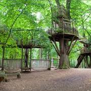 Bewilderwood