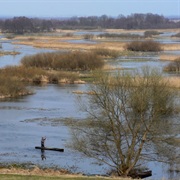 Biebrza National Park, Poland