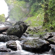 Hike Corcovado National Park