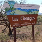 Las Cienegas National Conservation Area