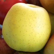 Golden Delicious Apple