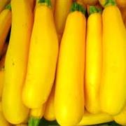 Summer Squash