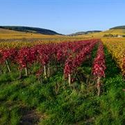Vignobles De Bourgogne