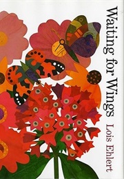 Waiting for Wings (Lois Ehlert)