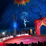 Watch a Circus