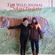 Visit an Animal Rescue/Sanctuary