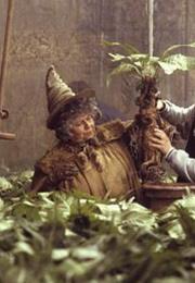 Professor Sprout