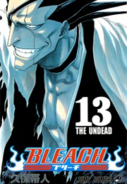Bleach Volume 13 (Tite Kubo)