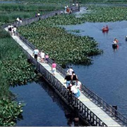 Point Pelee National Park