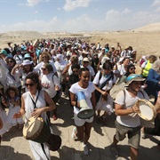 Join a Protest Rally