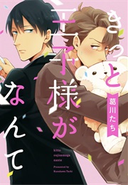 Kitto Oujisama Ga Nante (Kuzukawa Tachi)