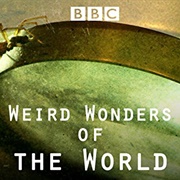 Weird Wonders of the World