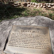 Smokey the Bear (Capitan, NM)