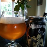 Melvin 2×4 DIPA
