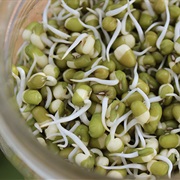 Sprouted Beans