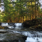 Salt Springs State Park, Pennsylvania