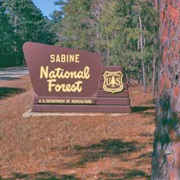 Sabine National Forest
