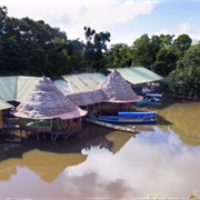 Wildlife Lodges on the Rio Yavari, Colombia