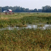 Cedar Point National Wildlife Refuge
