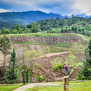 Dahilayan Adventure Park