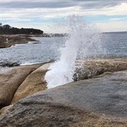 Bicheno Blowhole