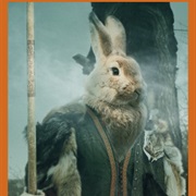Rabbit Warrior