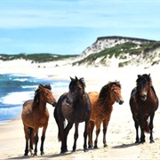Sable Island, Canada