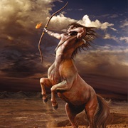 The Centaur