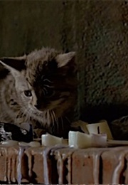 Kitten, Trainspotting (1996)