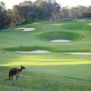 Joondalup (Quarry/Dune Course)