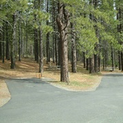 Brooks Memorial State Park, Washington