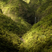 Kauai Forests, Hawaii