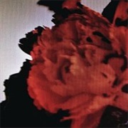 John Legend (All of Me)